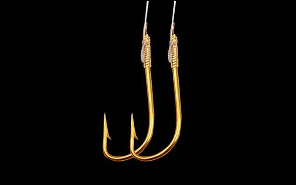 1.5号子线能钓几斤的鱼?