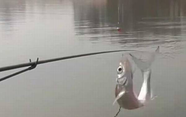 ���������ô�Ư����СƯ��