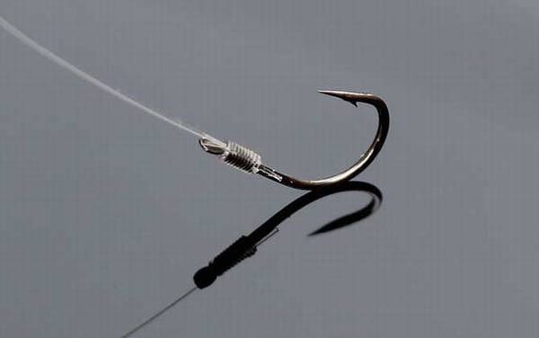 0.3号子线能钓多大的鱼?