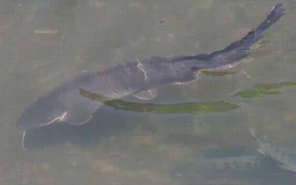 ���������ָͺû����ú��ͺã�