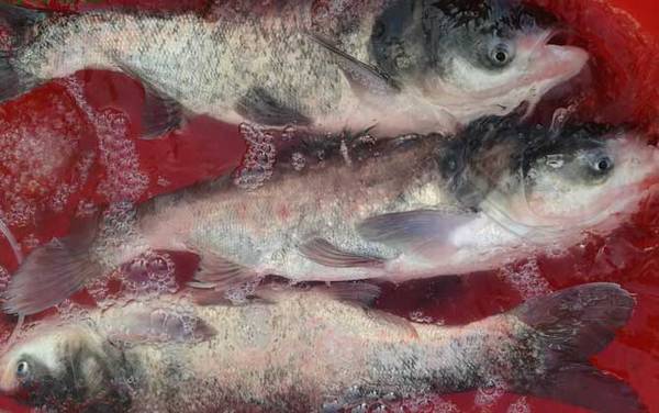 ������������估��������