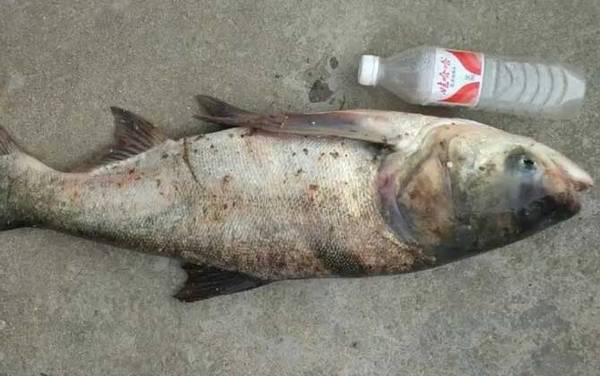 ������������估��������