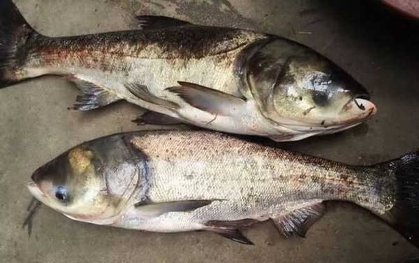 ������������估��������