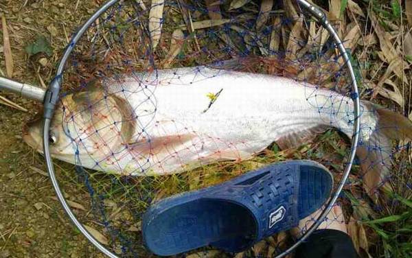 ���������ѡ���Ƽ�