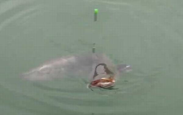 ��������ʲô������ã�