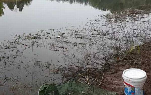 冬季钓鱼怎样选择钓位?