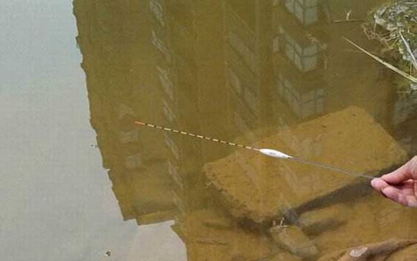 台钓调漂调几钓几目?