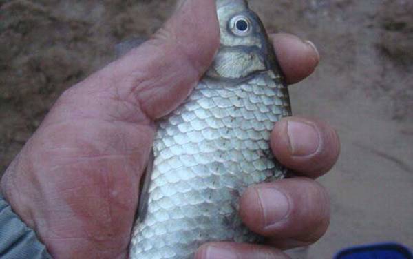 冬季钓鱼怎样选择钓位?