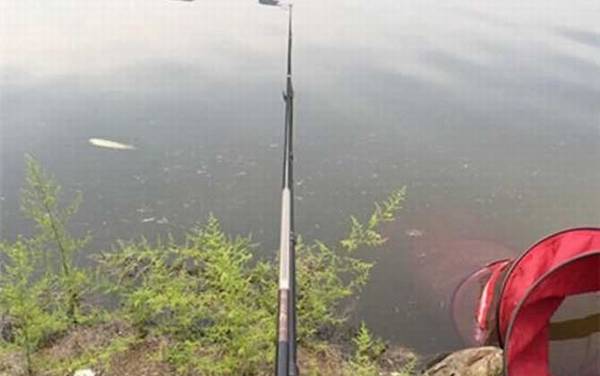 钓鱼打窝有什么技巧?