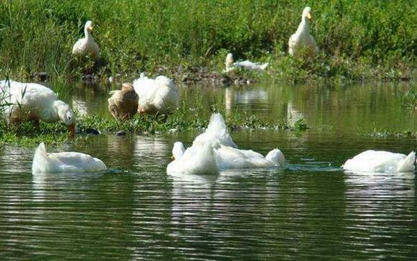 春季钓鱼如何选钓点?