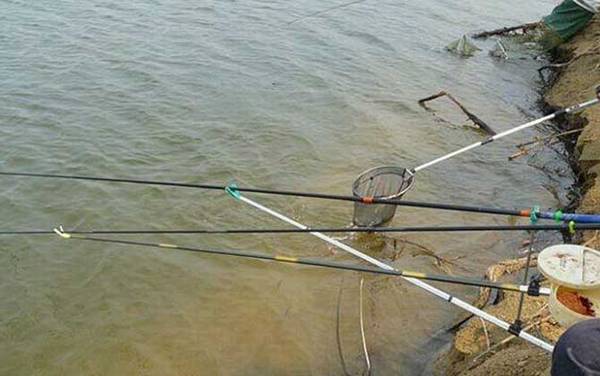 春季钓鱼如何选钓点?