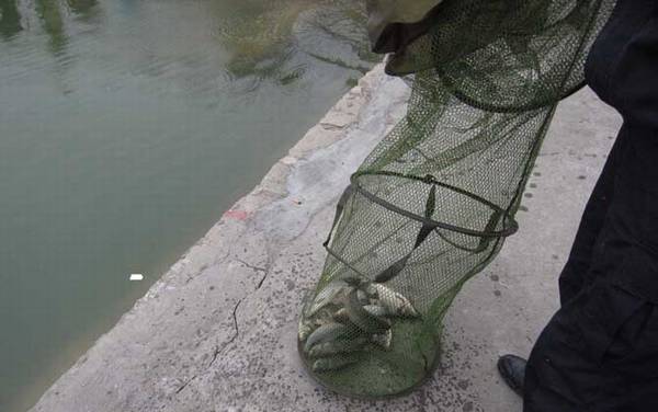 ������ˮ�����ܵ�����