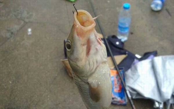 �＾������ʵ�ü���