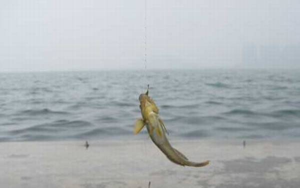 海钓实用技巧大全