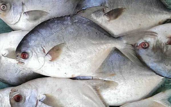 海钓实用技巧大全