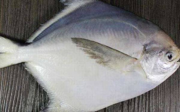 海钓实用技巧大全