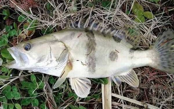 ·�������ߴ���ȫ����