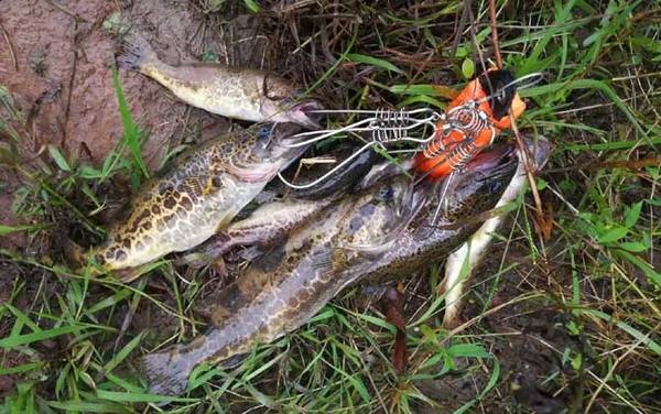 ·�������ߴ���ȫ����