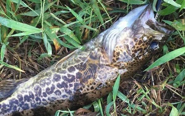 ·�������ߴ���ȫ����