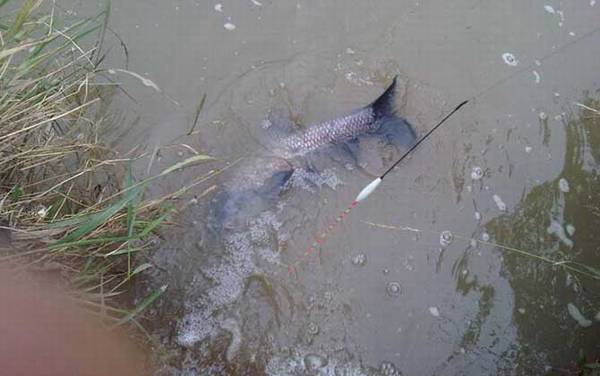 ʲô�������ʺϵ����㣿