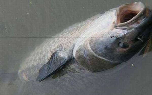 ʲô�������ʺϵ����㣿