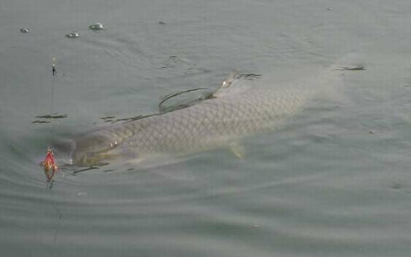 ��������ô��������죿