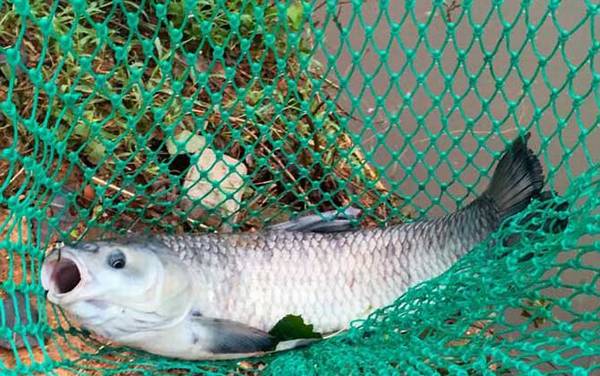 ��������ô��������죿