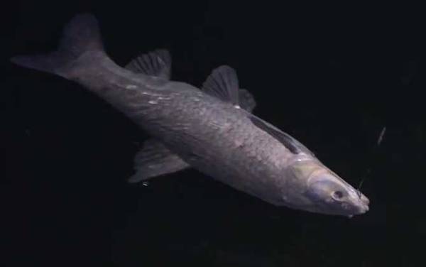 һ�쵱�е���������ʱ��