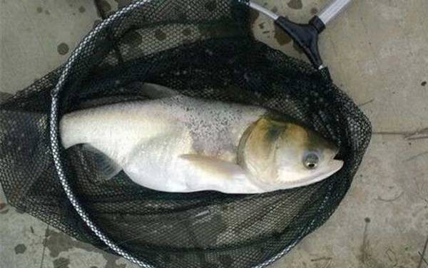 ����ʲôʱ����Ե���