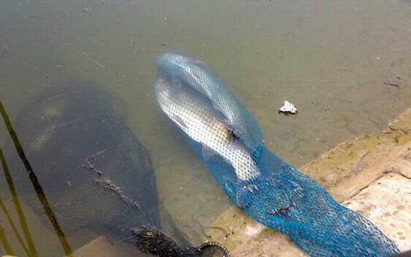 �ָ͵������ٿڴ򲻵���ô���£�