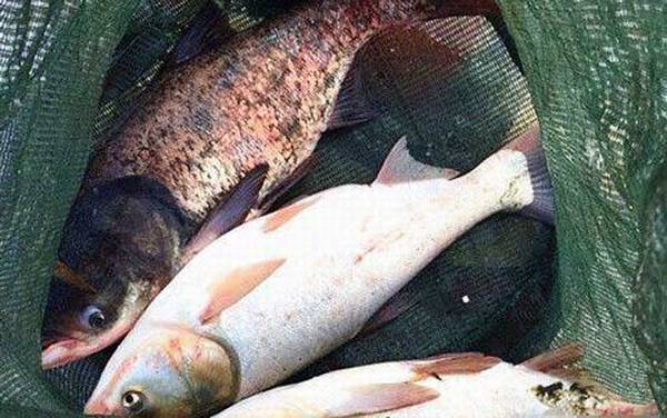 �ָ͵������ٿڴ򲻵���ô���£�