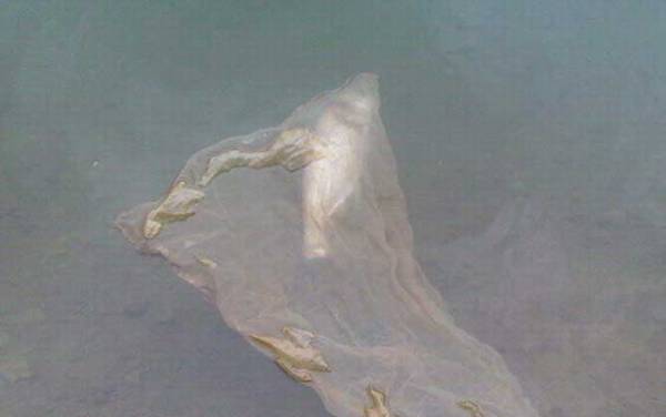 冬天抛竿钓鲢鳙钓多深?