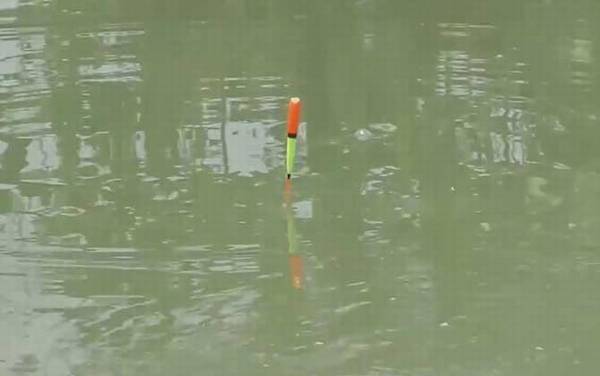 钓鱼死口是什么意思?