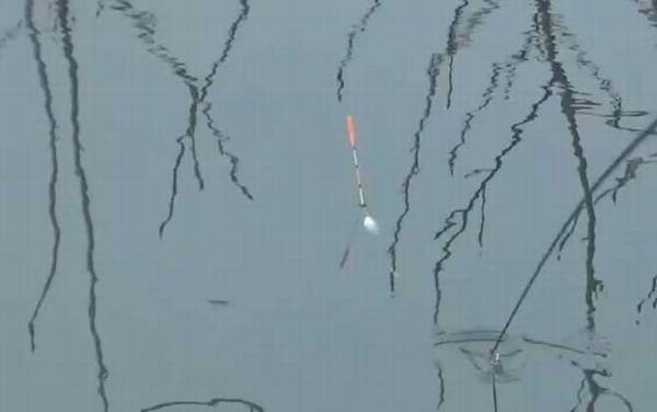 漂相只有顶漂怎么回事?