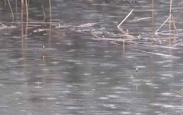 浮漂动作小怎么回事?