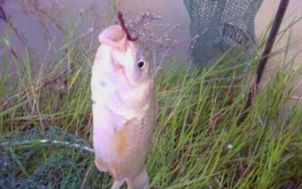 �������û�һ�������