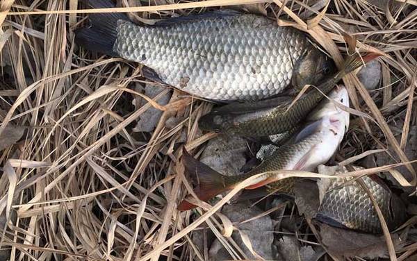 Ұ������ļ��ɺͷ���