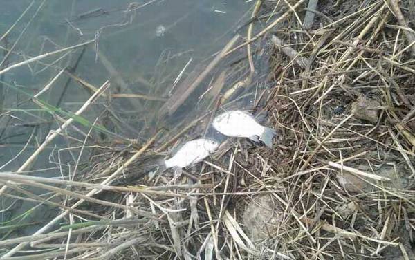 Ұ������ļ��ɺͷ���