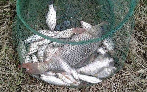 ����һֱ�����ǲ�������ô���£�