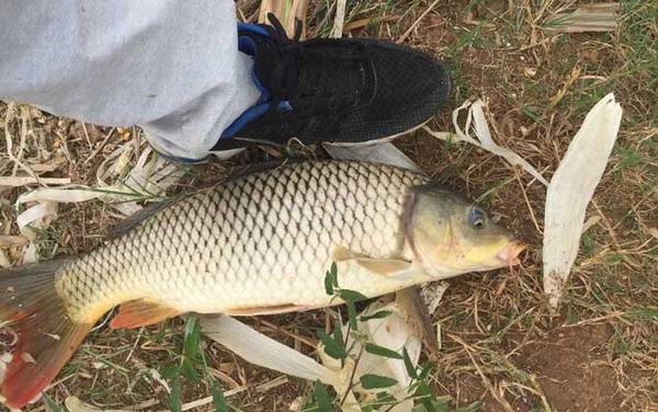 ����һֱ�����ǲ�������ô���£�