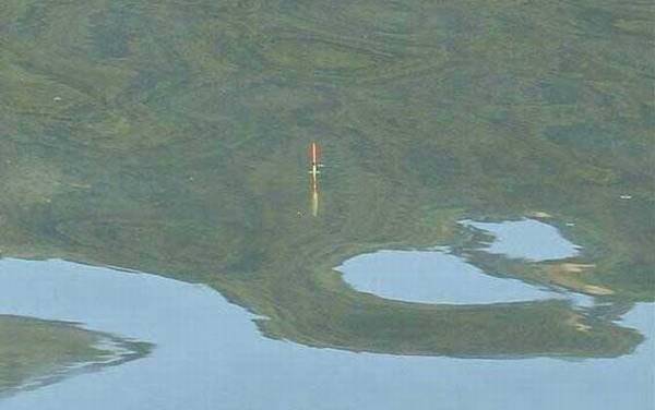 送漂不中鱼怎么解决?