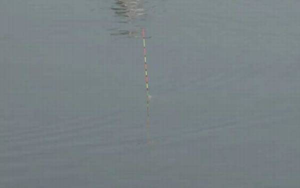 �ٿ���������ǵ���������