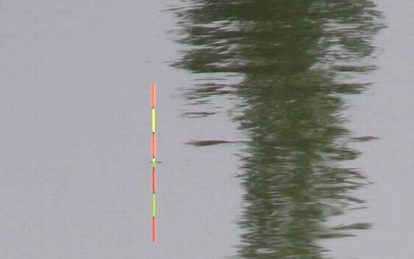 顿口漂相是什么样子的?