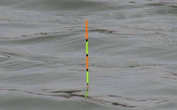 钓鲫鱼怎么抓顿口?