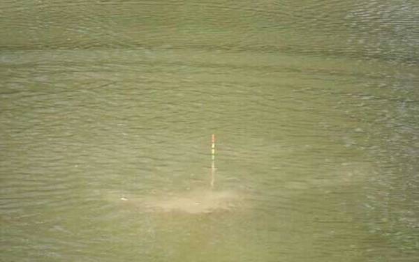 顿口是下顿提竿还是上升提竿?