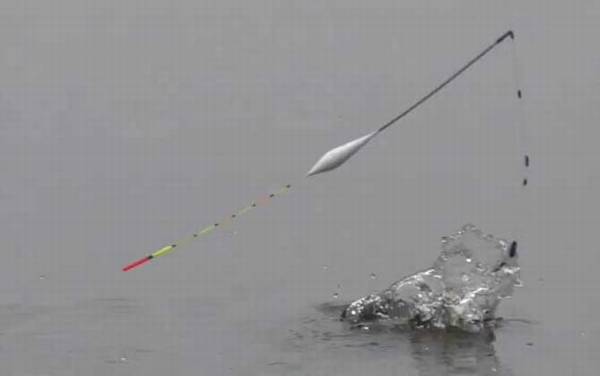 台钓调漂怎样调灵敏?