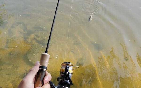 什么样的地方适合钓路亚?