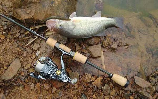 路亚钓适合什么水域?