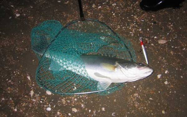 路亚钓适合什么水域?