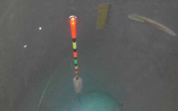 无钩调漂法怎么操作?